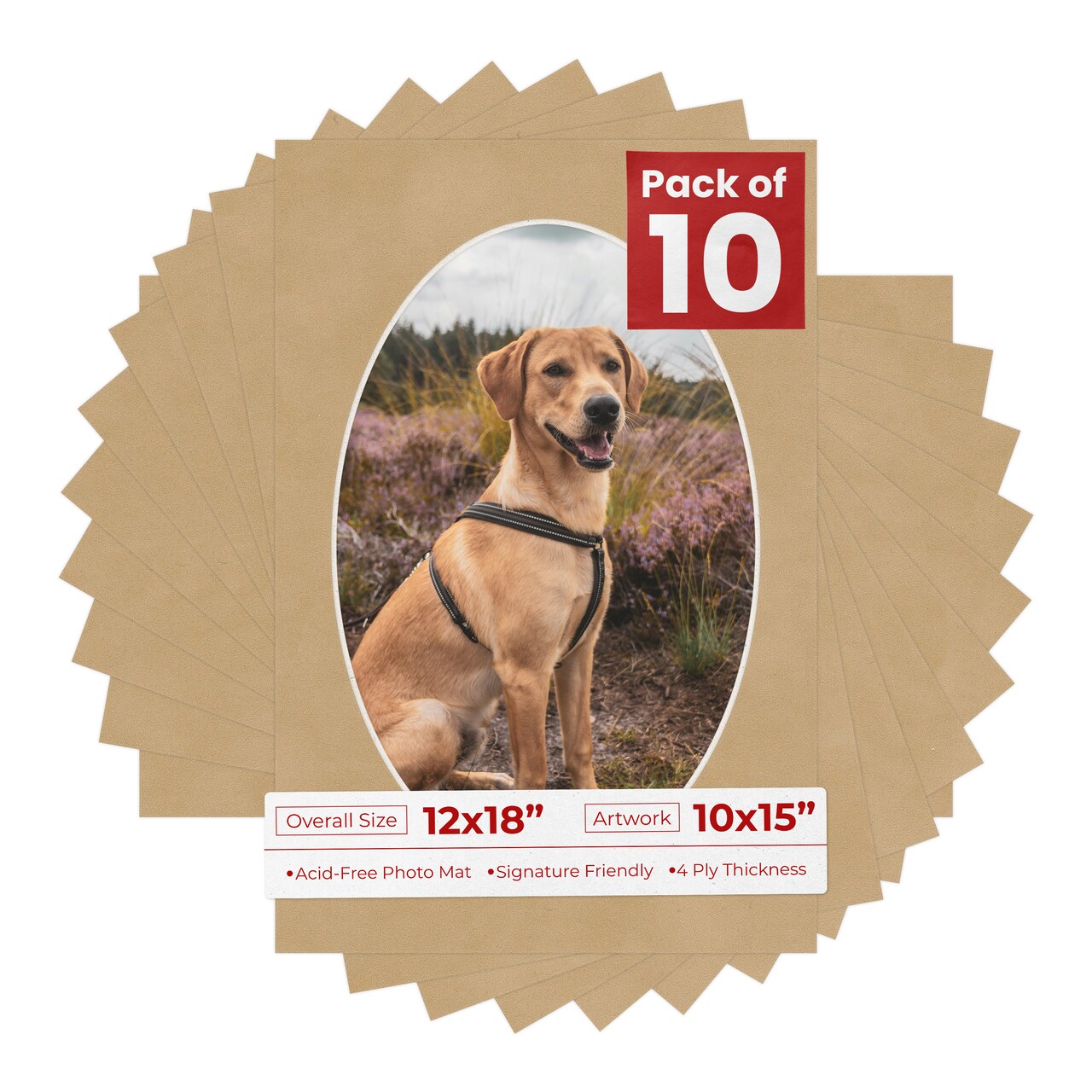 Beige Suede Mat Board for 12x18 Frames - Oval Opening for 10x15 Photos